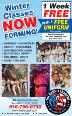 The Karate Academy of Long Island