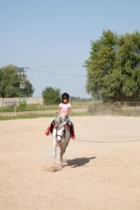 horseback riding lessons on Long Island