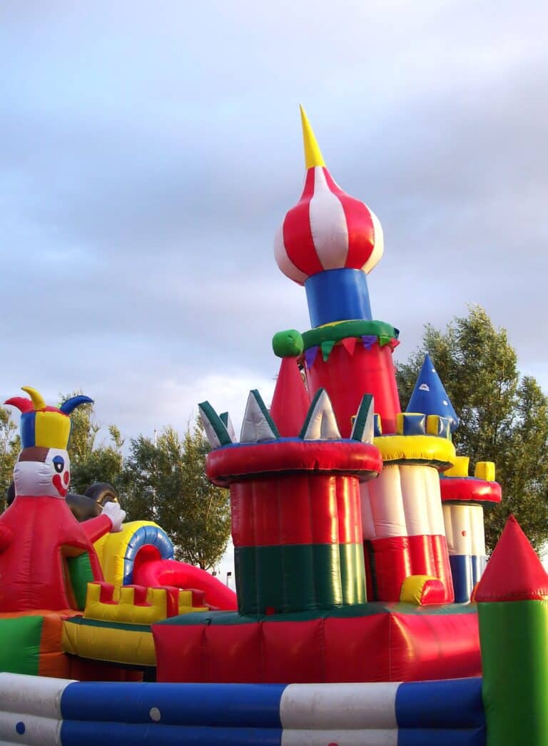 Complete Your Back Yard Party With Party Rentals! Your Local Kids