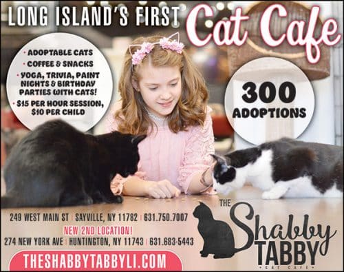 The Shabby  Tabby  Cat  Cafe  Huntington