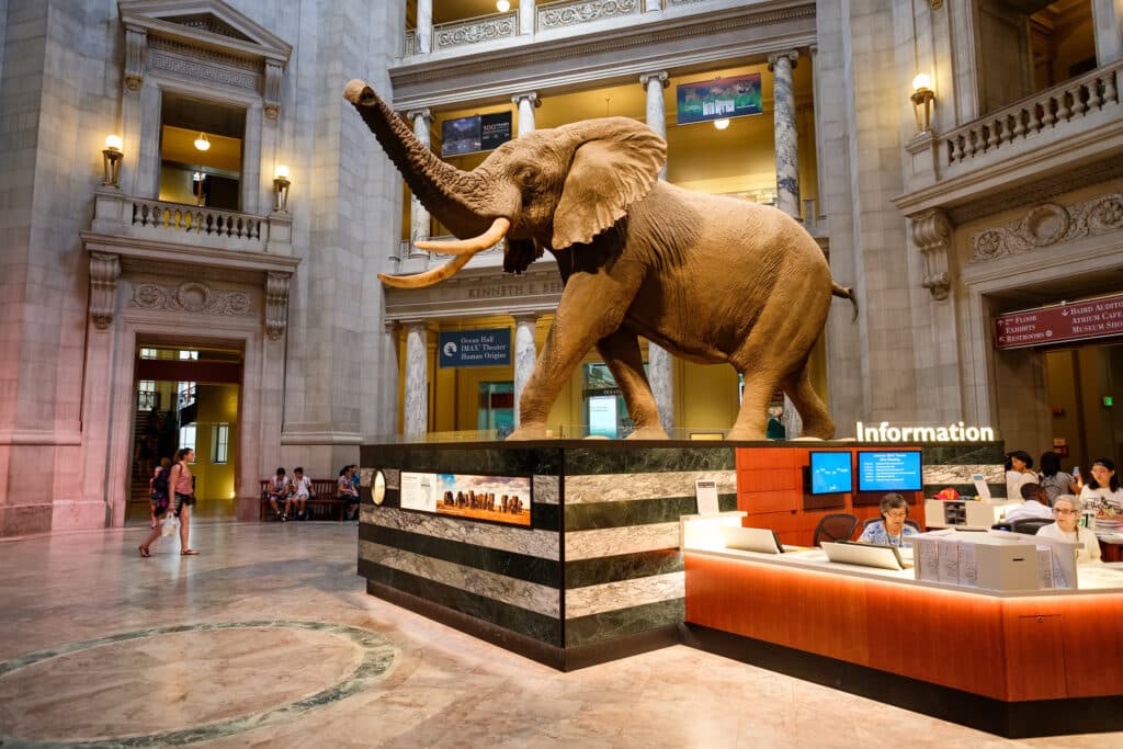 History Comes Alive at The Smithsonian, National Museum of Natural History