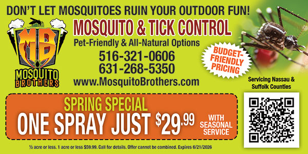 Mosquito Brothers