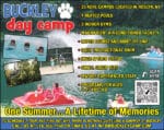 Buckley Day Camp