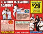 World Taekwondo Academy