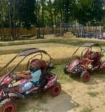 Park Shore Camp & School