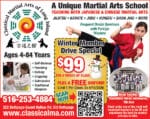 Classical Martial Arts of Long Island