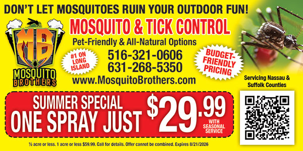Mosquito Brothers Mosquito Brothers