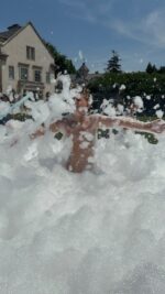 Foam Fairies