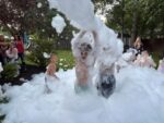 Foam Fairies