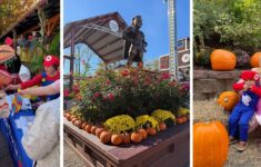 Adventureland is Open for Fall Fun!